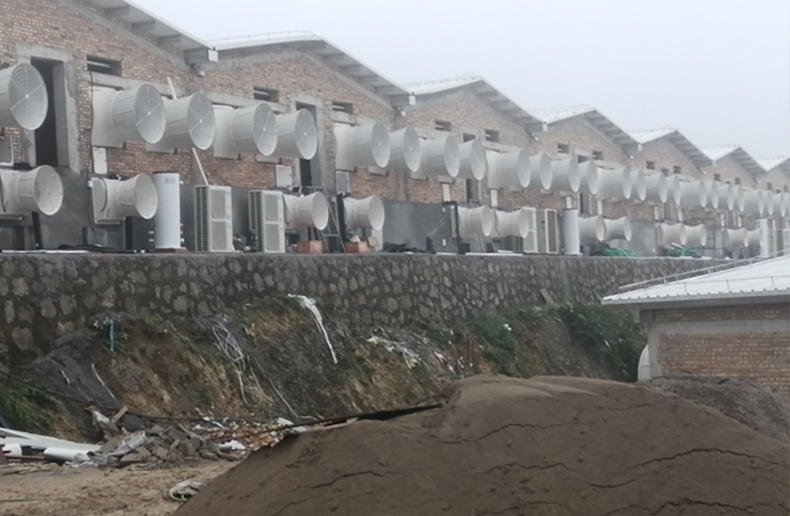 貴州開(kāi)陽(yáng)養(yǎng)豬場(chǎng)供暖